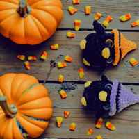 Image 1 of Crow With A Witch Hat