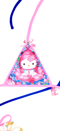 Image 2 of Shrimp& dolphin beach vibe