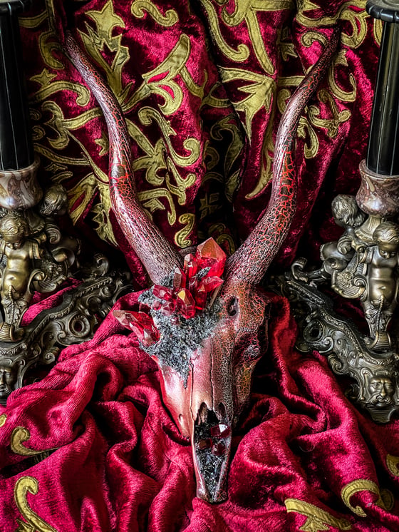Image of Crimson Quartz & Carborundum- Blackbuck Skull