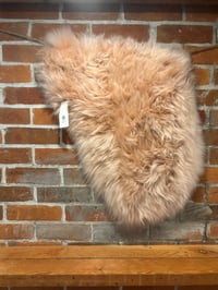 Image 1 of PINK TONGUE