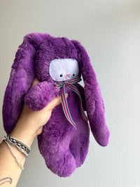 Image 4 of Vera The Bunny