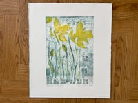 Image 2 of Daffodils in February 
