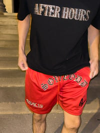 Image 4 of Red Fundamental shorts   