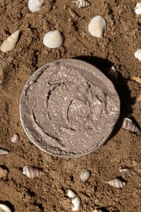 Image 3 of Tinted Tallow Sun Balm 15+