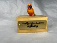 Image 6 of Custom Engraved Sunrise Conure Bird Mini Urn Pet Portrait To Your Photos