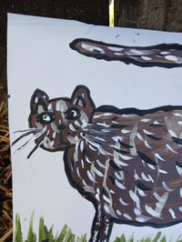 Image 6 of Cat