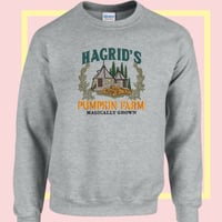 Image 3 of Hagrid's Pumpkin Farm House