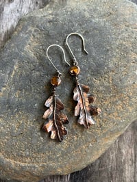 Image 1 of Oak Earrings