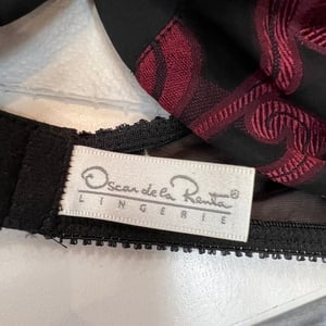 Image of Size 36D/34DD- Oscar de la Renta Vintage 2 Pc Set