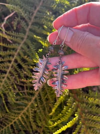 Image 4 of Fern Dangles