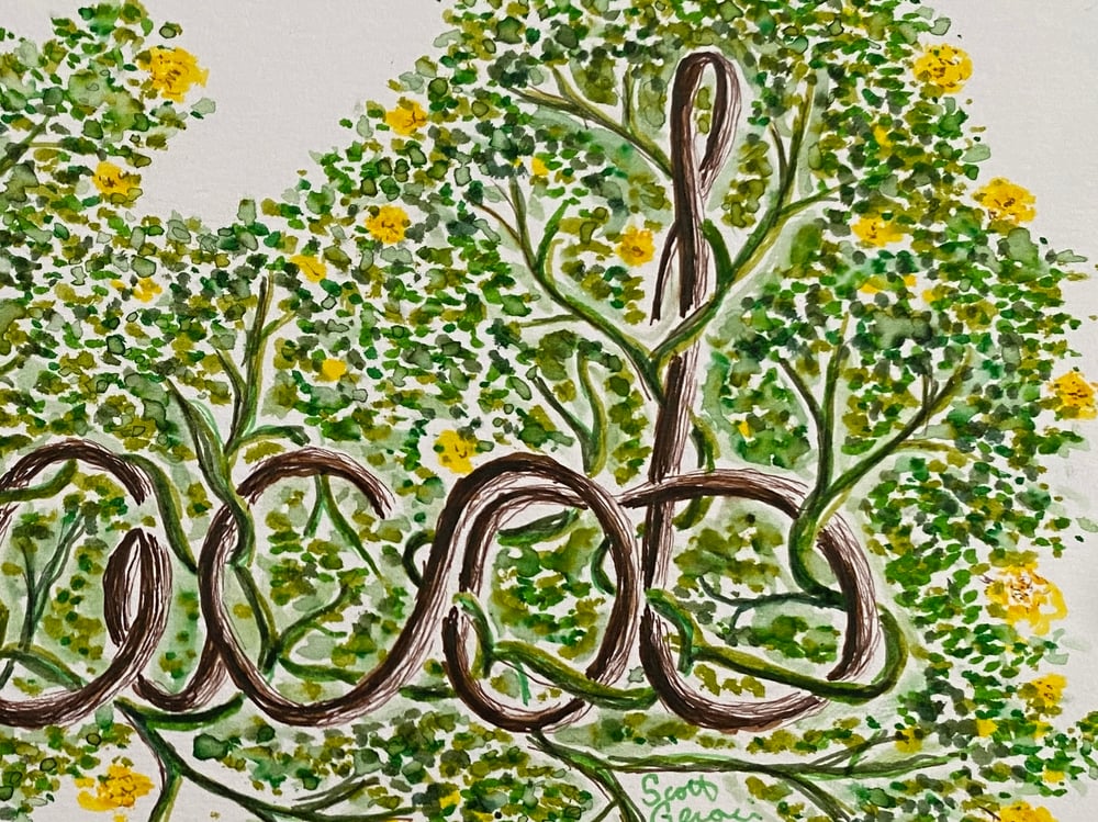 Image of Custom Illustrated Name with Vines (Color)