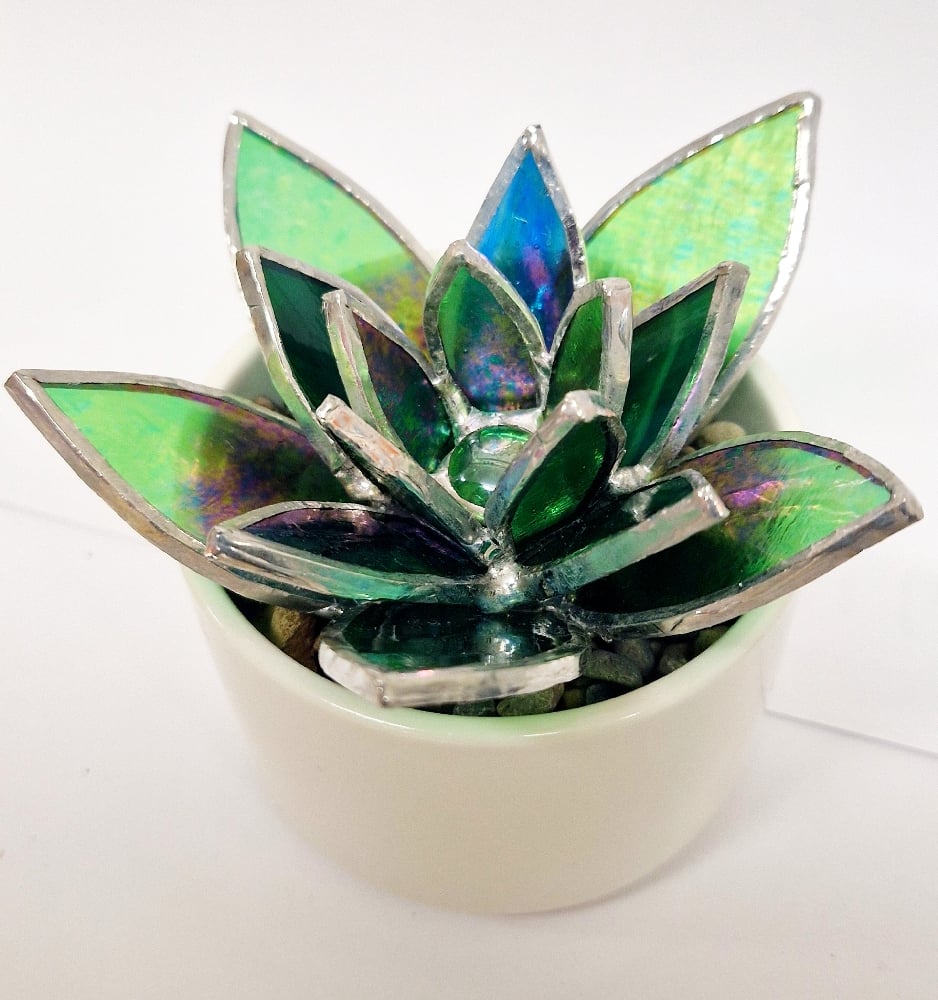Image of Stained Glass Succulent