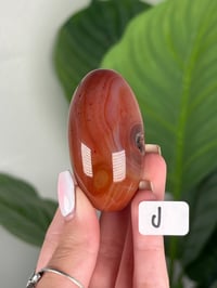 Image 10 of CARNELIAN SHIVAS