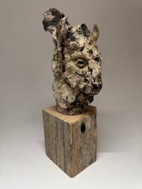 Image 2 of “Jed”