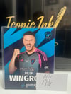 Billy Wingrove Auto and Photo