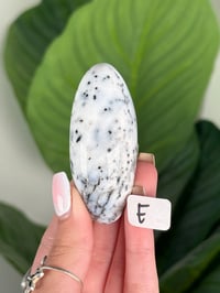 Image 5 of DENDRITIC OPAL SHIVAS