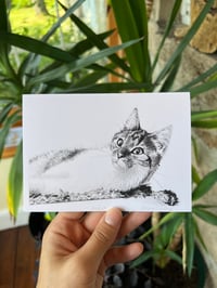 Image 3 of Cat Trio Greeting Card Pack