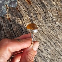 Image 3 of Citrine Sun, US 9