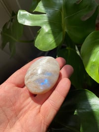 Image 2 of Moonstone Palm Crystal (10)