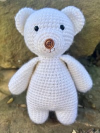 Image 1 of Little Teddy - Polar