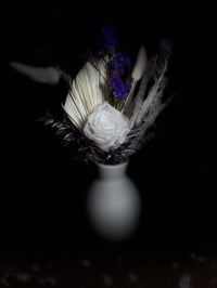 Image 6 of Purple Haze 
