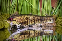 Finesse Floater 3pc - “Smallmouth”