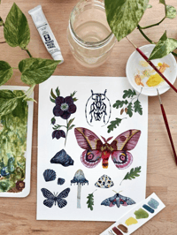 Image 3 of Sagittarius Nature Chart PRINT