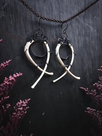 Image 1 of gemini hoops