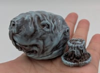 Image 4 of 【HEAD】ハダカデバネズミ  ( Naked Mole Rat )