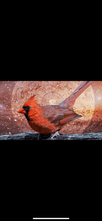 Quick Spiritual Message 