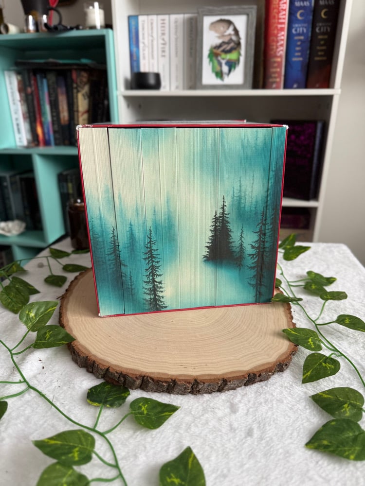 Image of Twilight White Box Set