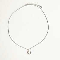 Image 3 of HORSESHOE