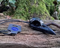 Image 2 of Crow skull necklace