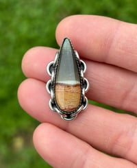 Image 2 of Polychrome Picture Jasper ⛓️Ring