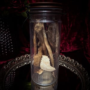 Image of Jar of Human Bones
