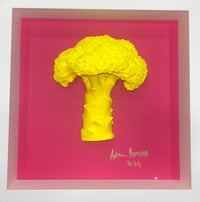 Let them eat cake broccoli 