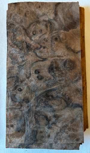 Image of Walnutt Burr 50 Sheets