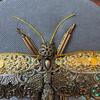 Image 3 of Grasshopper (6 inches) 