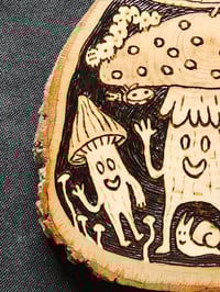 Image 3 of Mushrooms and Bugs