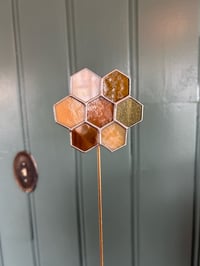 Honeycomb Plant Stake Pre-Order