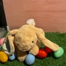 Image 2 of Personalized Laying Bunny