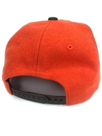 Image 4 of BMFS 33