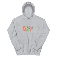 Image 5 of REALLY NICE™️ EVERYONE HOODIE