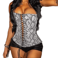 Image 3 of Snake Print Corset