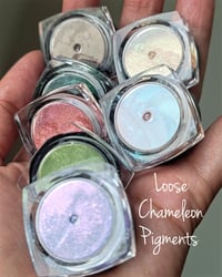 Image 4 of VEGA chameleon Pigment
