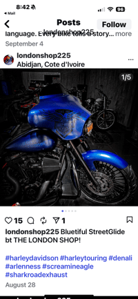 Image 2 of HD Batwing Eagle Fairing Graphic 