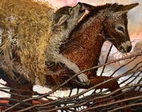 Image 1 of The Secret