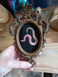 Image 2 of Ver de terre