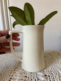 Image 4 of Hoya Pubicalyx in gilded Horse Mug