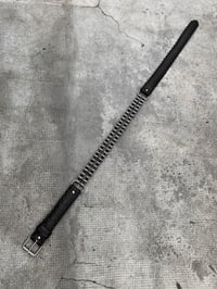 Image 2 of Hybrid Theory belt